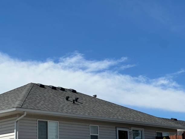 Best Metal Roofing Installation  in Mckinley, PA